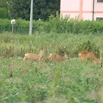 Veneta 3* 维琴察