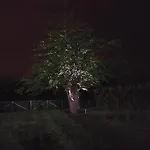 Veneta 宾馆 维琴察