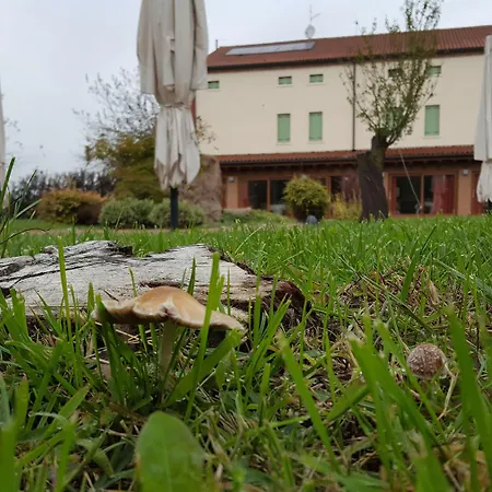 Mini-hôtel Veneta