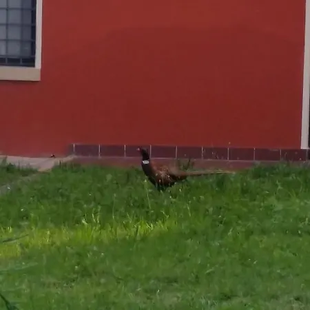 Locanda Veneta Vicenza