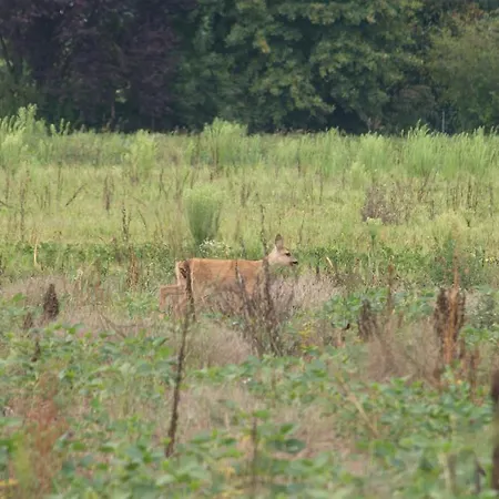 Estalagem Veneta Vicenza