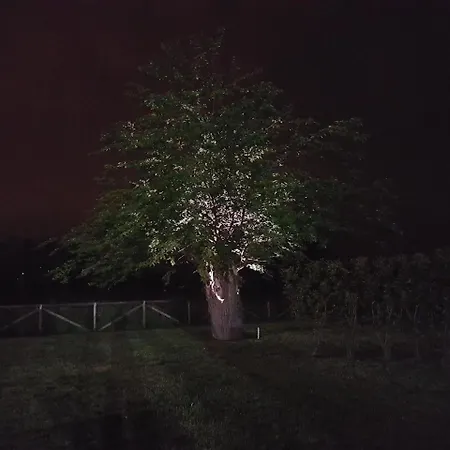 Veneta Estalagem Vicenza