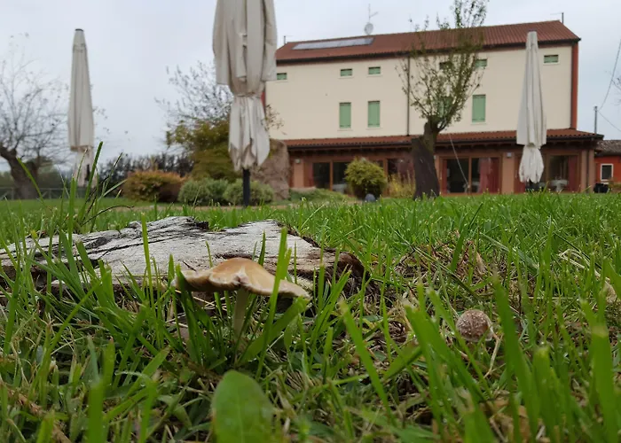 Мини-отель Veneta