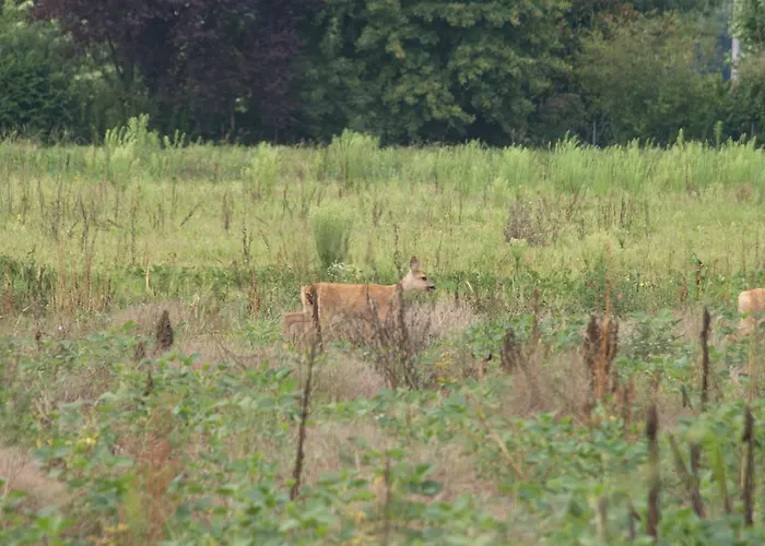 Мини-отель Veneta Виченца
