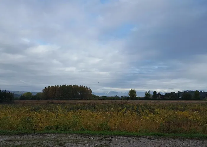 Veneta Виченца