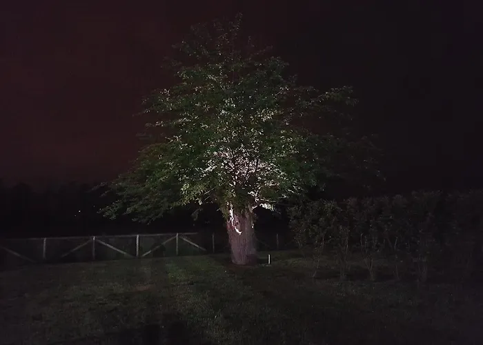 Veneta Мини-отель Виченца