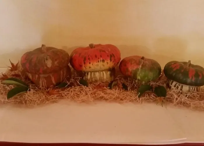 Мини-отель Veneta